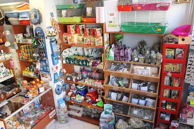 Zwierzak. Handel i usługi zoologiczne.